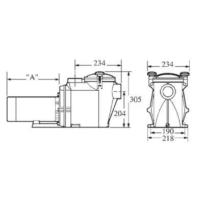 Насос Hayward RS II RS3016VSTD (220В, 19.5 м3/ч, 1.5HP), с пер. скор.