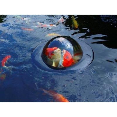 Floating fish sphere small